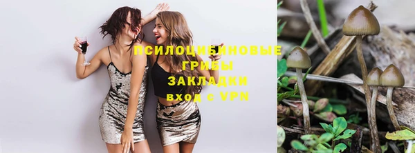 ешки Алексин
