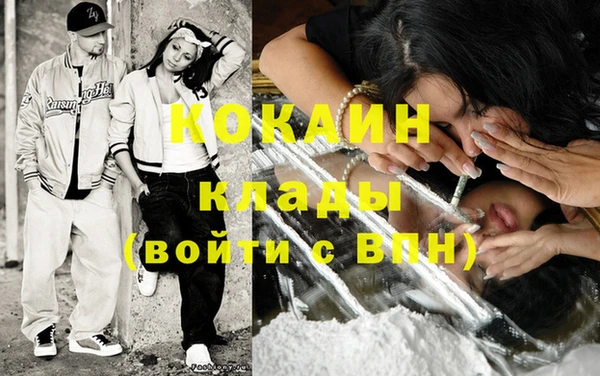ешки Алексин